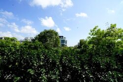 Ripple Bay (D18), Condominium #595021871